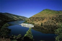Universidade norte-americana vai ajudar na internacionalização do enoturismo do Douro 